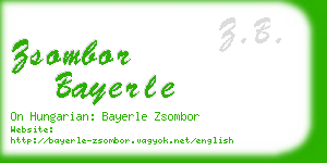 zsombor bayerle business card